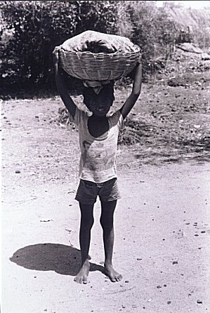 Boy Carries Goods to the Farm