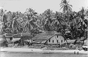 Konkan Houses Surrounded by Coconut Trees
