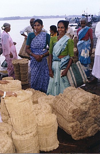 The Weekly Coir Market 