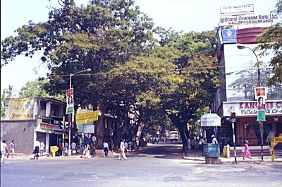 Malleswaram Neighborhood 