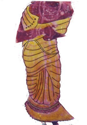 Saris as Depicted in Lepakshi Paintings