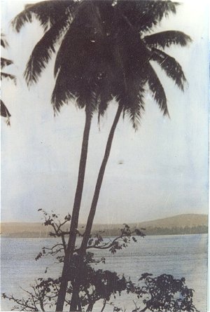 Pictures of Indian West Coast