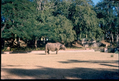 1986, Mysore
