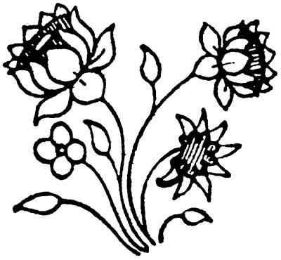 Designs from India