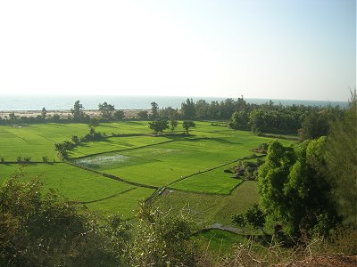 Green Fields and Blue Sea