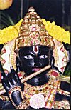 The Black God Krishna  