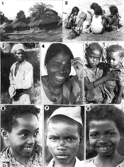 Pictures of Indians of African Origin