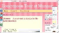 Honeymoon Tour at Munnar