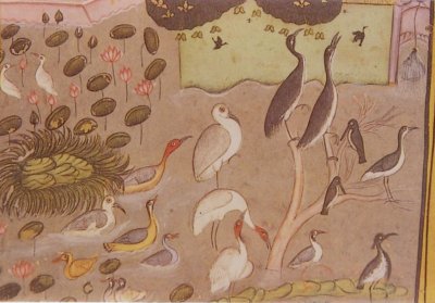 Birds in Mogul Period Art