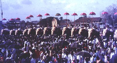 Pooram Festival Celebrations, Kerala