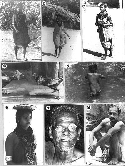 Pictures of Halakki Tribe