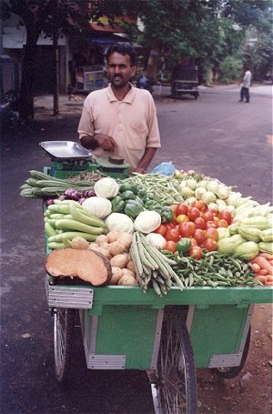 Traveling Vegetable Vendor