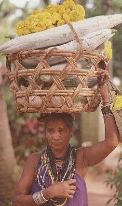 Halakki Tribal Woman Going to Marketplace