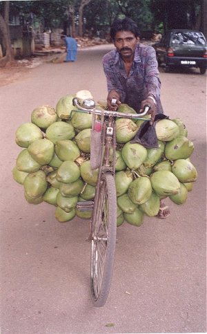 Tender Coconut Seller