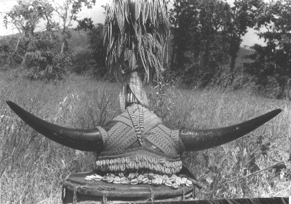 Tribal Head Gear 