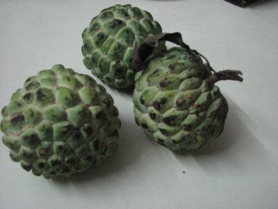 The Seetaphal Fruit