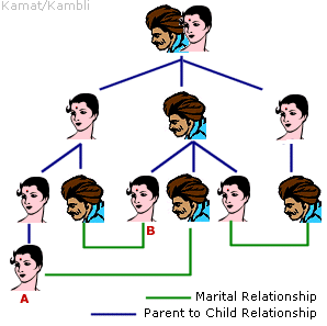 Marrying Within the Families