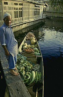 Vegetable Vendor on Dal Lake