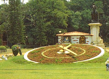 The Floral Clock at Lal Bagh 