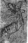 A pre-historic rock painting of a deer, Bhimbetka in Central India