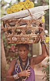 A Halakki woman going to market to sell vegetables