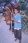 A Young <i>Tangawala</i> with his Horse