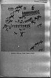 Prehistoric rock painting, Benkal, Raichur dist., 1982