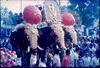 Decorated Elephants