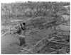 Santhal Tribals