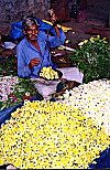 Man Selling Flowers by Weight