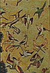 Birds from a Moghul Miniature Painting