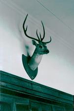 Decor from Tamizhakam Hotel