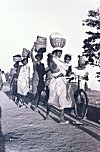 Tribal Women on their Way to Market