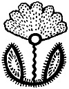 Designs from India