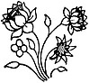 Designs from India