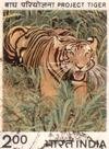 Project Tiger