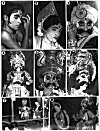 Pictures of Yakshagana Artists