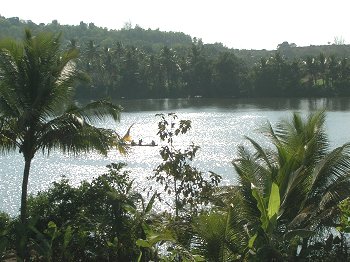 Floating in Aghanashini River