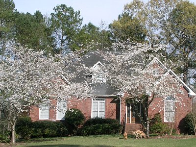 Spring in Alabama 2005